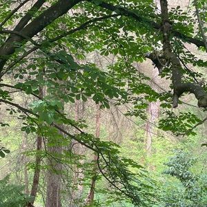 Meet your Posher, Annita